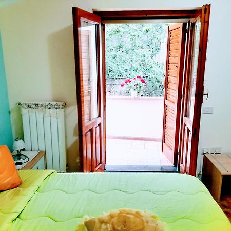 Hotel Affittacamere Novella 트라몬티 객실 사진